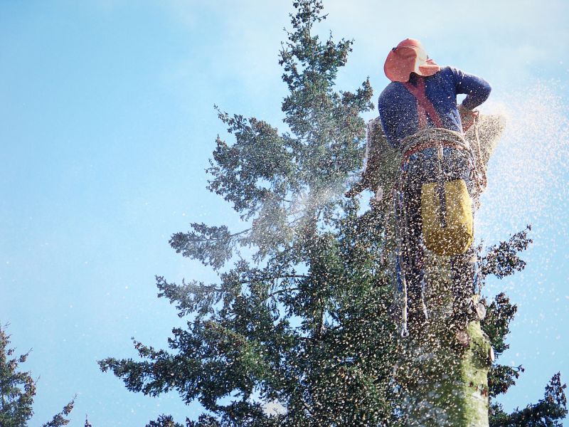 Top Rated Tree Removal Products