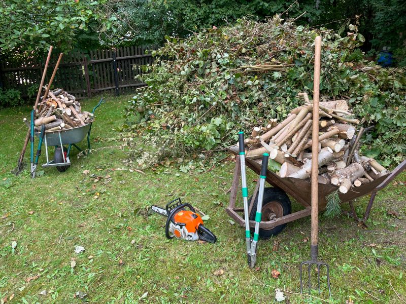 Tree Removal Service
