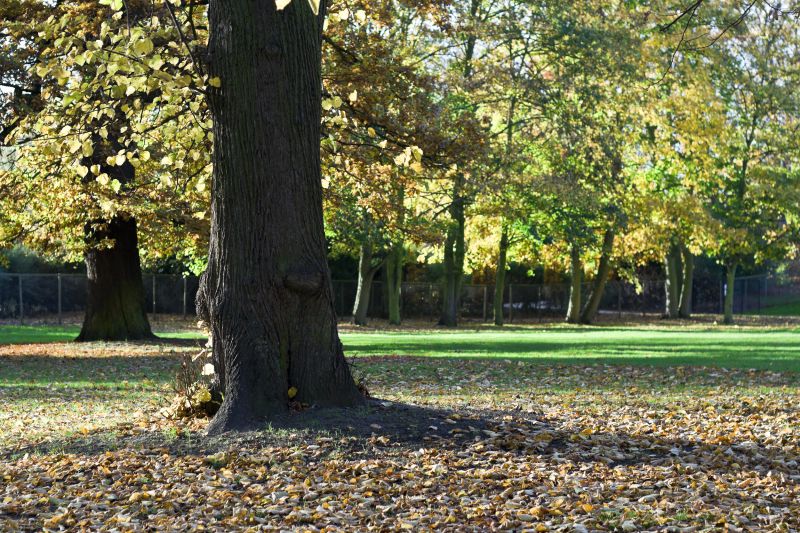 Autumn Preparation