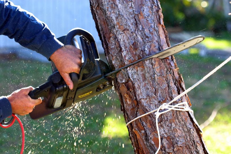 Tree Removal Equipment