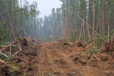 Land Preparation