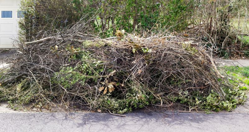 Post-Removal Site Cleanup