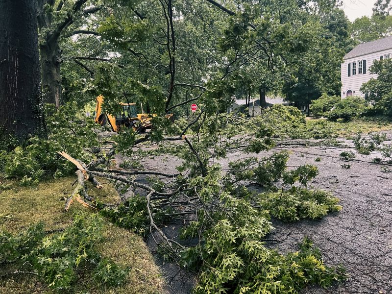 Proper Disposal of Debris