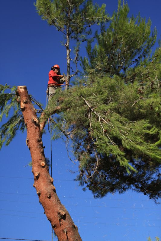Safety Considerations