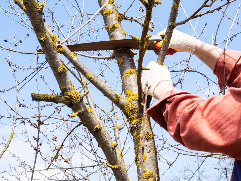 Property Maintenance